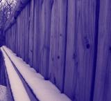 Snow Along The Fence II