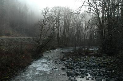 En Route to Lake Cowichan, January 2005 -4