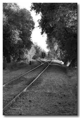 u17/cdsims/medium/42266381.IMG_9407pbase.jpg