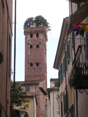 TreeTower