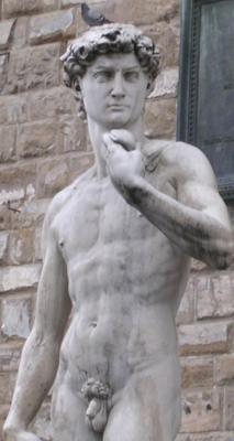 FakeDavid1