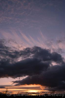 DSC_3456.jpg