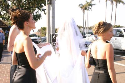 Bridesmaids and Bride