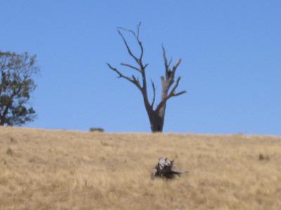 south australian landscape