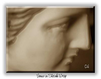 u17/chrishalpin/medium/10920833.VenusinShrinkWrap.jpg