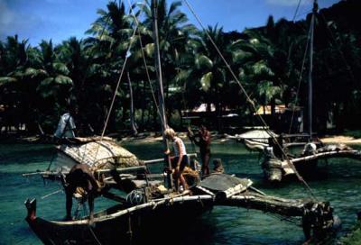 Island Travelers