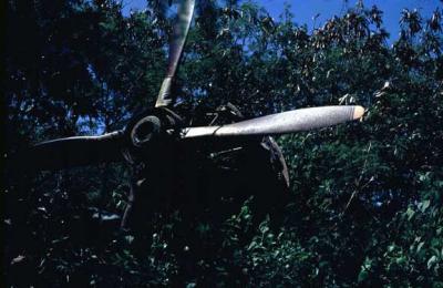 u17/chuckm/medium/20278769.WreckonSaipan.jpg