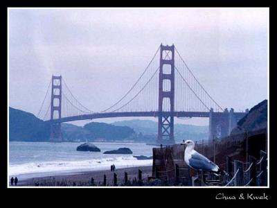 The Famous Bridge in the Fog