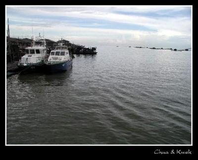 u17/chyeheng/medium/5619360.Malaysia_Kukup_01_cmt.jpg