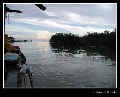 u17/chyeheng/medium/5619362.Malaysia_Kukup_03_cmt.jpg