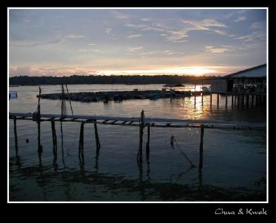 u17/chyeheng/medium/5619365.Malaysia_Kukup_06_cmt.jpg