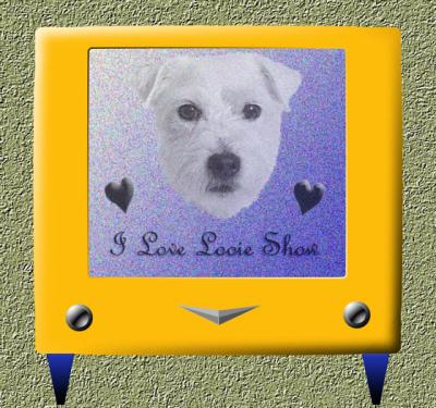 The I Love Looie Show