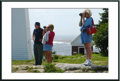 Everyone is sightseeing....