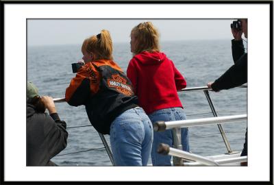 And tourists from a Harley Davison Group in Zelienople surprise us by being aboard too.