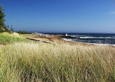 ....and down the beach. (Maine)