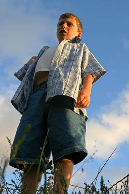 Above the weeds  *