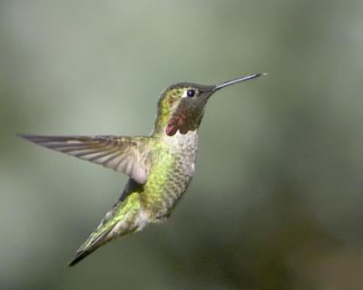 Up, Up and Away!
