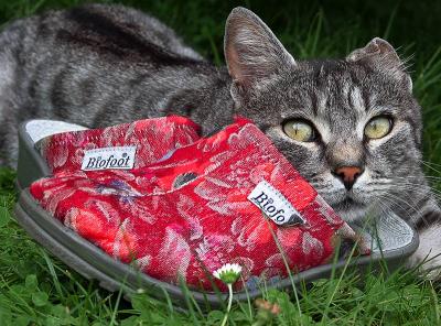 Bigfoot's Red Slippers*
