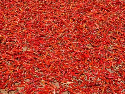 Red Hot Chili Peppers *