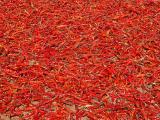 Red Hot Chili Peppers *