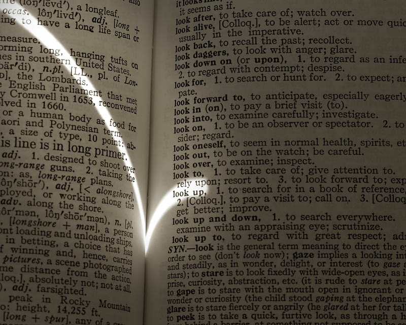 <b>2nd Place</b><br>... in a Dictionary. *