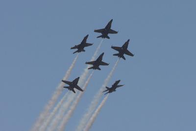u17/csorrell/medium/42305570.CRW_350402.jpg