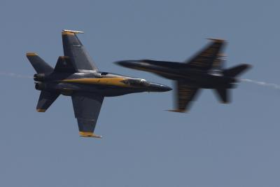 u17/csorrell/medium/42305606.CRW_348802.jpg