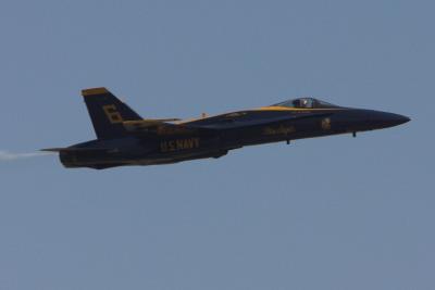 u17/csorrell/medium/42305609.CRW_348602.jpg