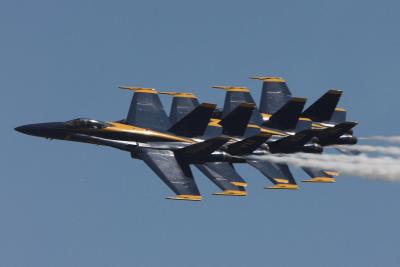 u17/csorrell/medium/42305873.CRW_347002.jpg