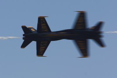 u17/csorrell/medium/42306011.CRW_346502.jpg