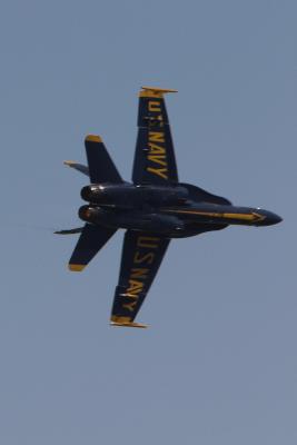 u17/csorrell/medium/42306088.CRW_345702.jpg