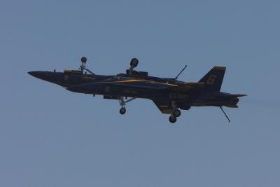 u17/csorrell/medium/42306094.CRW_345102.jpg