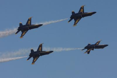 u17/csorrell/medium/42306099.CRW_344801.jpg