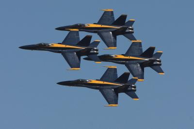 u17/csorrell/medium/42306102.CRW_343602.jpg