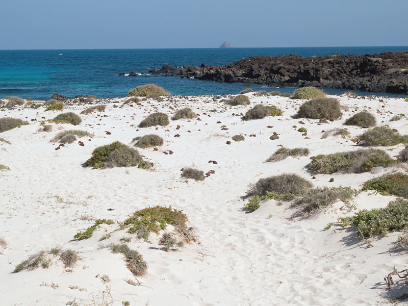 Caleta del Mojn Blanco