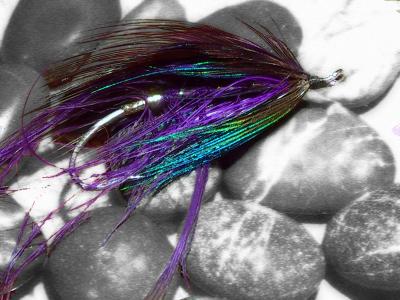 Summer-Violet