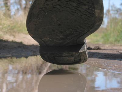 Puddle!