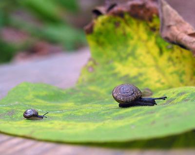 Mommy, wait up!
