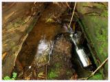 Message in a Bottle