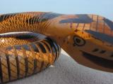 snake