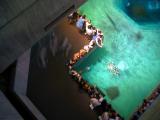 Traffic - Baltimore Aquarium