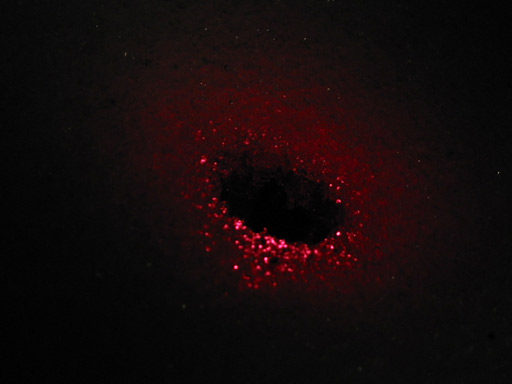Red UFO