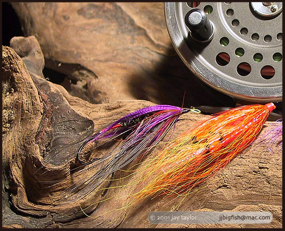 Steelhead Tools