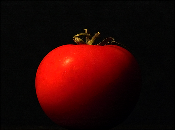 Tomato