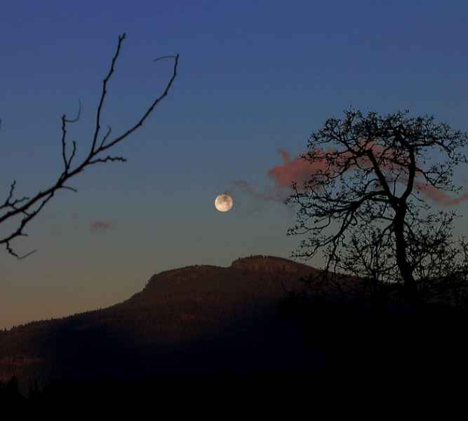 Moon Setting over Mt.Provost.