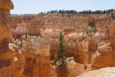 Bryce Canyon