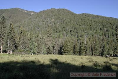 This is what you see on an August morning around 8:15AM when you look out one of the front windows of the cabin. The Red River itself runs about 30 yards beyond the trees at the end of the meadow.