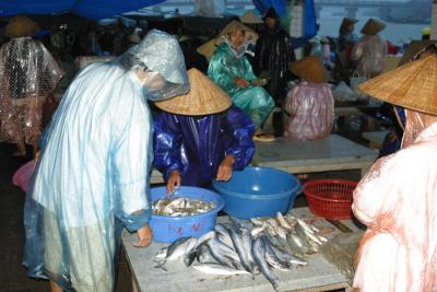 Hoi An - Fishing Market