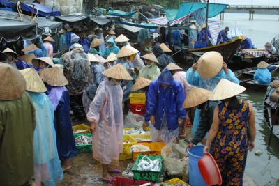 Hoi An - Fishing Market