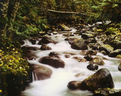Spetch Creek, B.C. near Whistler